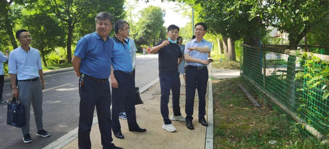 寿福再轮滑